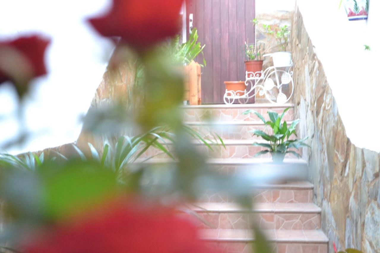 מלון אגאטה Casa Alamo Agaete מראה חיצוני תמונה